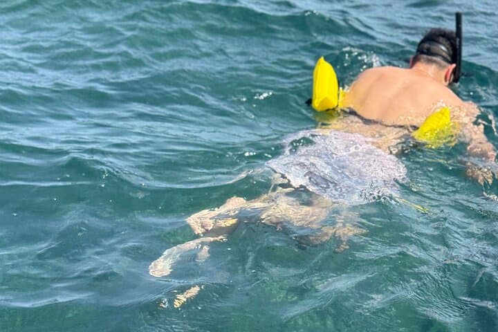 Glass-bottom Boat & Snorkeling in Montego Bay: Explore Coral Reefs and Sea Life photo 4