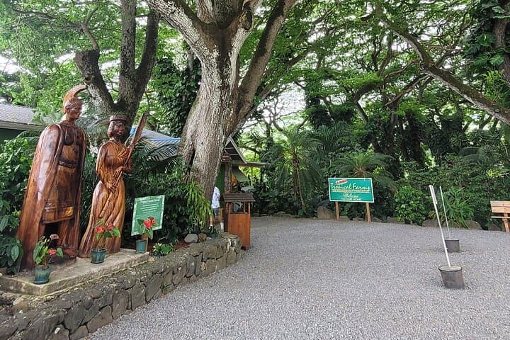 Circle Island 8-Hour Private Oahu Tour: North Shore, Waterfalls & Cultural Stops