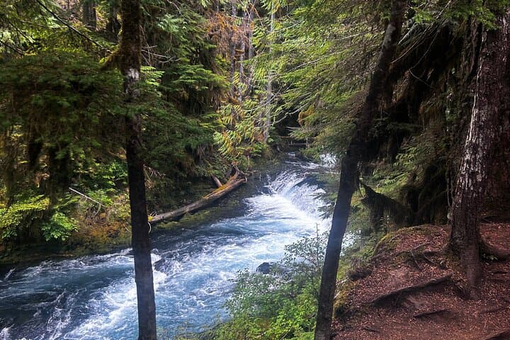 McKenzie River Waterfalls Tour from Eugene: Sahalie & Koosah in a Tesla photo 4