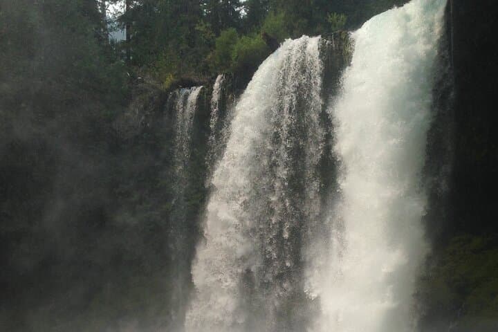 McKenzie River Waterfalls Tour from Eugene: Sahalie & Koosah in a Tesla