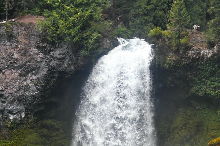 McKenzie River Waterfalls Tour from Eugene: Sahalie & Koosah in a Tesla photo 3