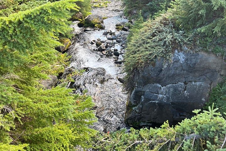 McKenzie River Waterfalls Tour from Eugene: Sahalie & Koosah in a Tesla photo 5
