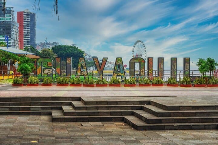 Half-Day Guayaquil Private City Tour — Malecón, Iguanas & Bellavista Viewpoint photo 2