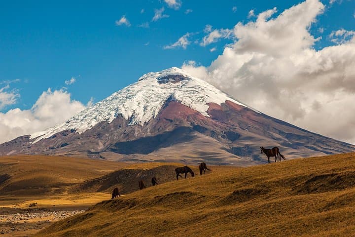 Cotopaxi Private Day Tour from Quito: Drive, Laguna Limpiopungo & José Rivas Hike photo 2