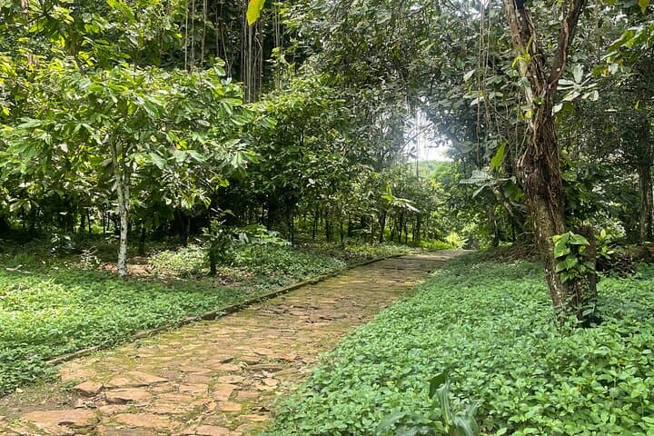 Full-Day Accra Adventure: Zipline, Hike & Wildlife from Labadi Beach photo 6