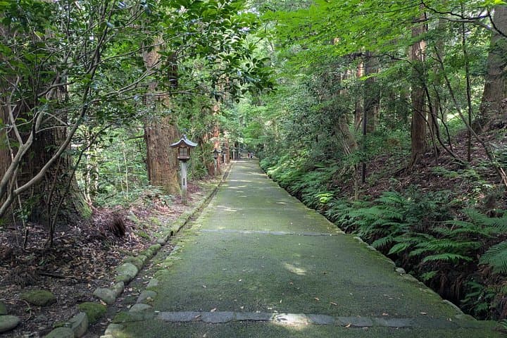 Kanazawa Day Tour: Tedori Gorge, Hakusan White Road & Shirakawa‑go photo 4