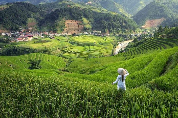 Sapa One-Day Trek: Y Linh Ho, Lao Chai & Ta Van Rice Terrace Hike photo 2