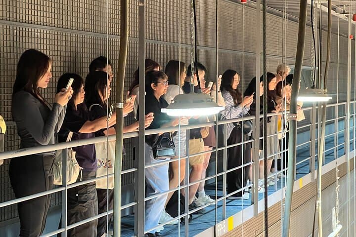 Inside MBC Dream Center: VIP K-Drama Rehearsal & Studio Tour in Seoul photo 3