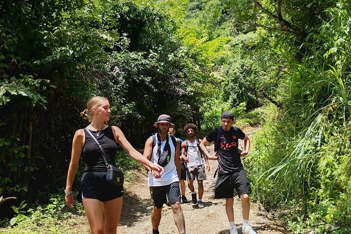 Minca Ancestral Trails: Coffee, Cocoa & Hidden Waterfalls Day Tour photo 6