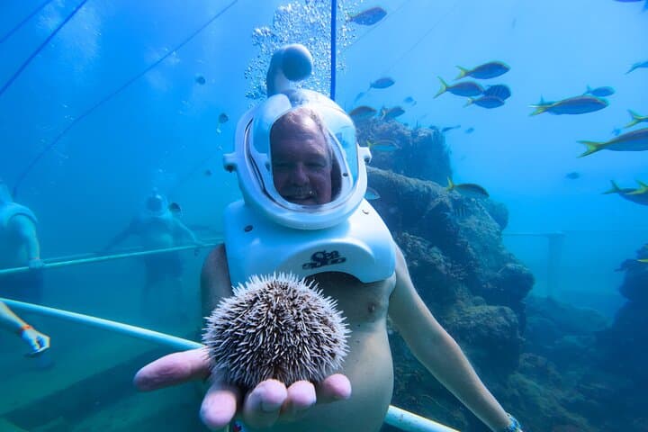 SeaTrek Underwater Walking Tour St Maarten - Helmet Dive in Philipsburg