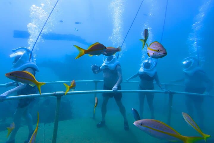 SeaTrek Underwater Walking Tour St Maarten - Helmet Dive in Philipsburg photo 6