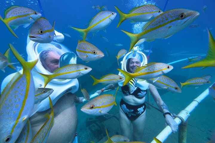 SeaTrek Underwater Walking Tour St Maarten - Helmet Dive in Philipsburg photo 4