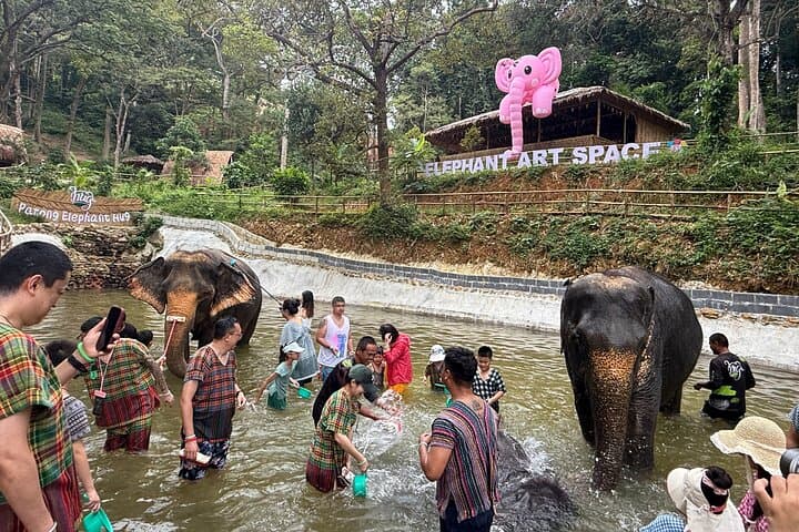 Ethical Elephant Encounters in Patong: Half-Day at Patong Elephant Hug photo 2