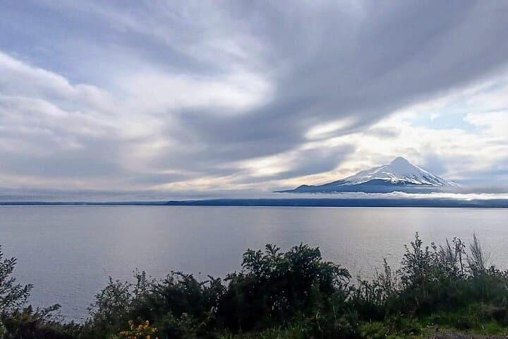 Petrohue Falls and Osorno Volcano: Private Full-Day Tour from Puerto Varas photo 4