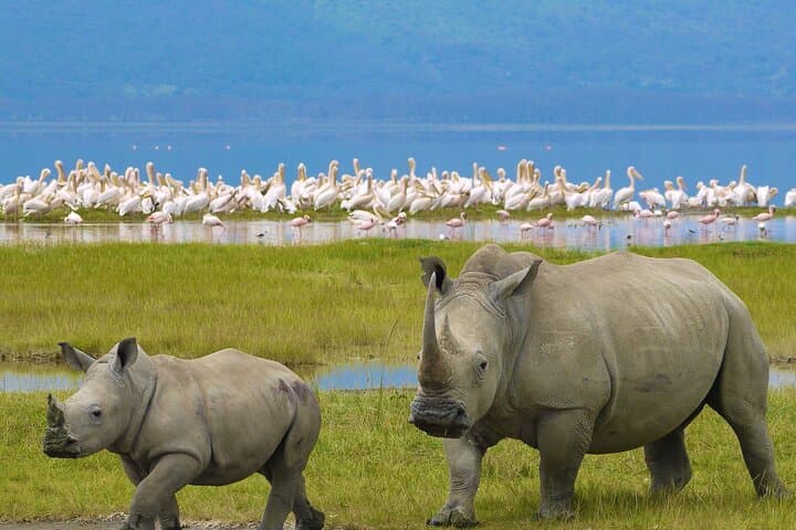 4-Day Private Camping Safari: Tarangire, Serengeti & Ngorongoro photo 1