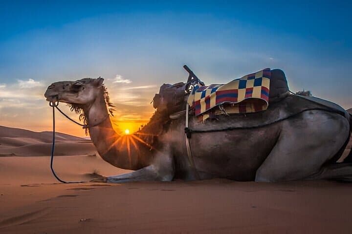 Agafay Desert Camel Ride & Sunset Dinner — Marrakech Evening Experience photo 4