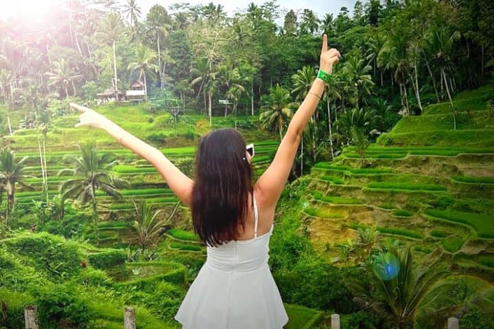 Ubud Day Tour — Waterfalls, Tirta Empul & Tegalalang Rice Terraces photo 1