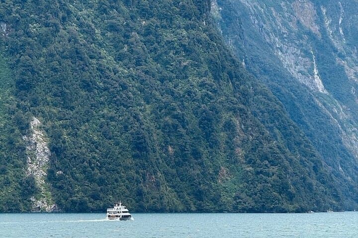 Milford Sound Private Day Trip from Queenstown via Te Anau photo 1