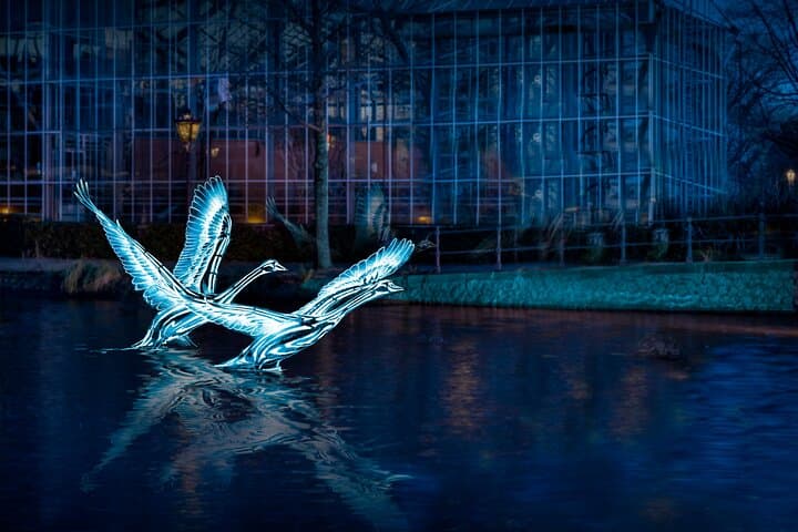 Amsterdam Light Festival Open Boat Cruise — 90-Min Canal Experience for Winter Nights photo 4