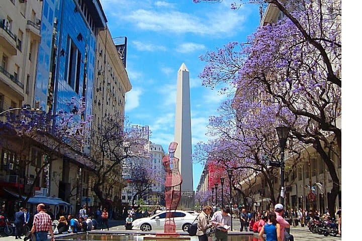 Buenos Aires Van City Tour: 4-Hour Semi-Private Cultural Highlights photo 3