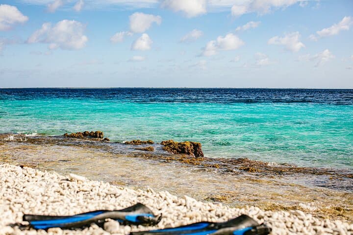 1000 Steps Excursion & Snorkeling Guide — Bonaire's Iconic Viewpoint photo 5