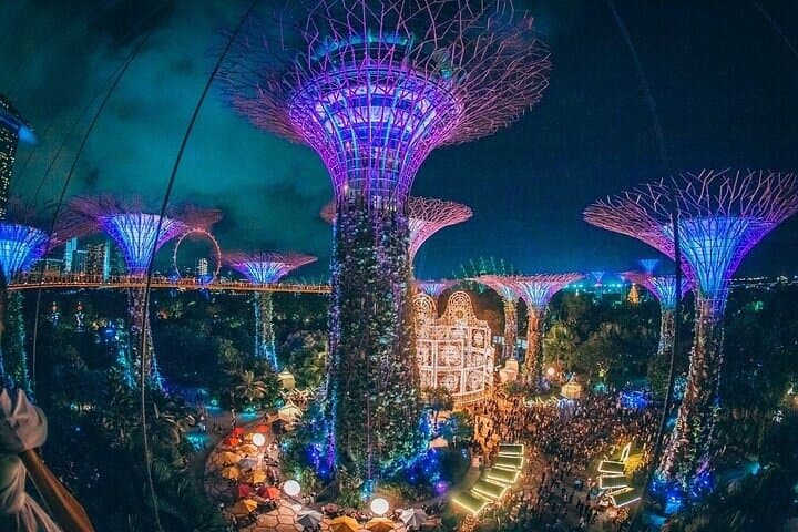 Gardens by the Bay Tickets — Cloud Forest, Flower Dome & Supertree Views