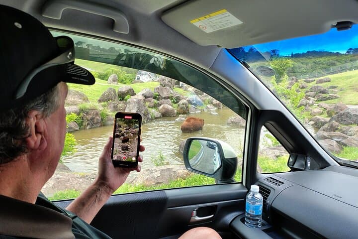 Beppu African Safari & Hells Private Tour — Drive-Through Wildlife and Hot Spring Views photo 2