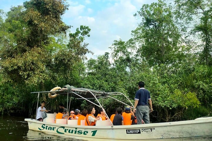Beringgis Mangrove Fireflies Sunset Cruise & Local Dinner from Kota Kinabalu