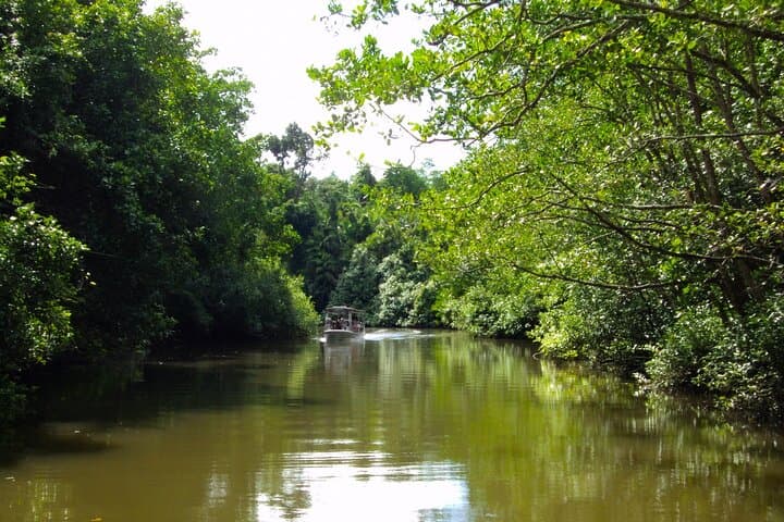 Beringgis Mangrove Fireflies Sunset Cruise & Local Dinner from Kota Kinabalu photo 3
