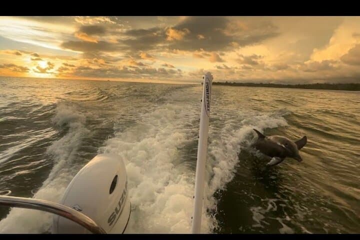 Naples Private Sunset Cruise in Naples Bay with Charcuterie and Wine photo 5