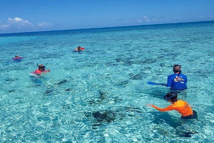 Private Clear-Water Snorkeling Adventure in Roatán (West Bay & West End)