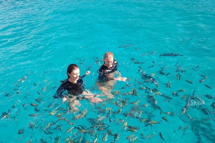 Private Clear-Water Snorkeling Adventure in Roatán (West Bay & West End) photo 4