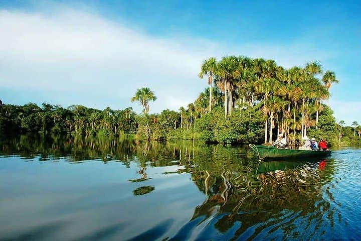 Sandoval Lake Full-Day Amazon Wildlife & Boat Tour from Puerto Maldonado photo 1