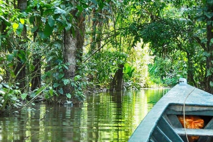 Sandoval Lake Full-Day Amazon Wildlife & Boat Tour from Puerto Maldonado photo 3