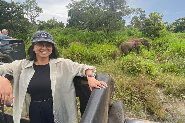 Private Minneriya Elephant Safari from Colombo, Kandy or Sigiriya — Minneriya National Park Wildlife Tour photo 2