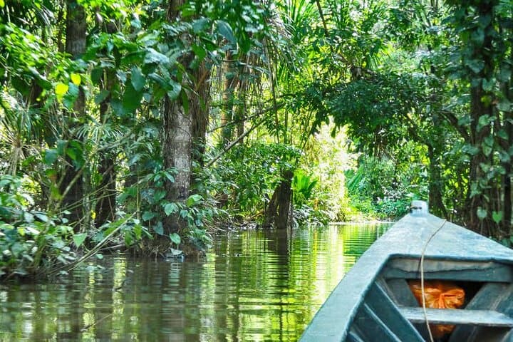 Peruvian Amazon: Tambopata 3-Day Wildlife & Canopy Adventure photo 5