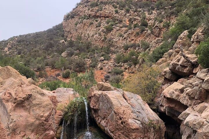 Paradise Valley Day Trip from Agadir: Swim Turquoise Rock Pools & Palm Canyons photo 2