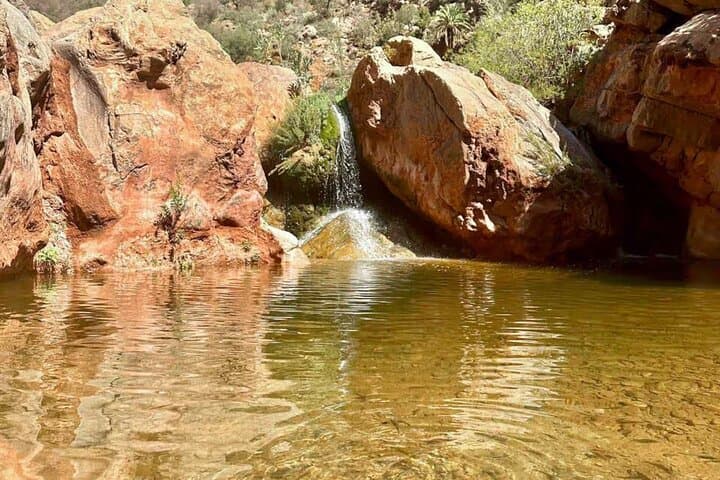 Paradise Valley Day Trip from Agadir: Swim Turquoise Rock Pools & Palm Canyons photo 4