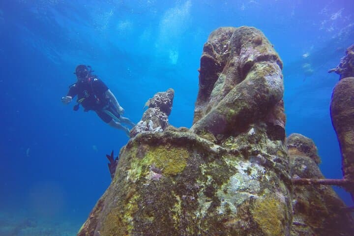 Explore MUSA and Manchones Reef: Guided Scuba Dives from Cancún