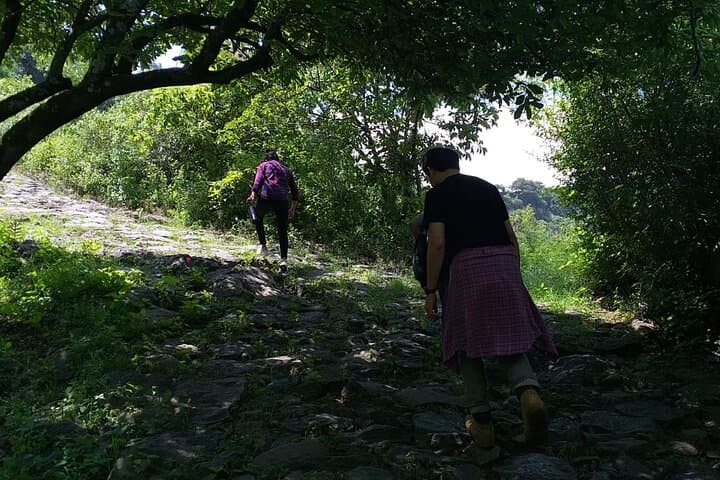 Between Tunnels and Bats: Huasca de Ocampo Evening Bat-Exit Cave Walk photo 5