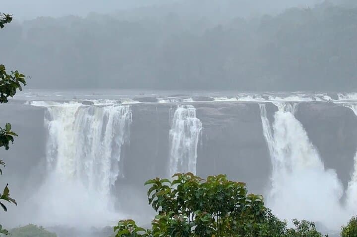 Kerala in Four Days: Athirappilly Falls, Munnar Tea Hills & Alleppey Houseboat photo 3