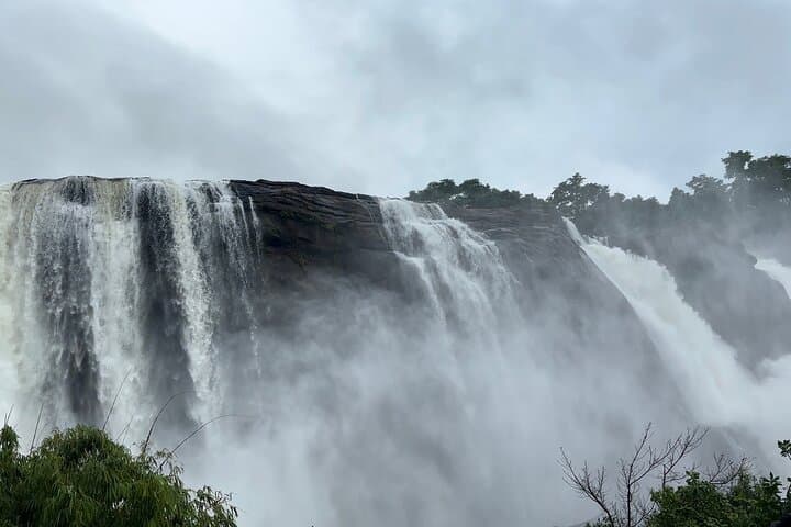 Kerala in Four Days: Athirappilly Falls, Munnar Tea Hills & Alleppey Houseboat photo 4