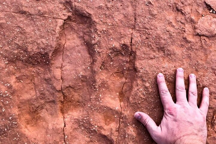 Warner Valley Dinosaur Track 4x4 Jeep Tour from St. George photo 2
