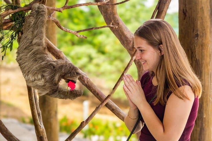 Roatan Wildlife and Private Cay Day: Sloths, Monkeys & White‑Sand Beaches photo 2