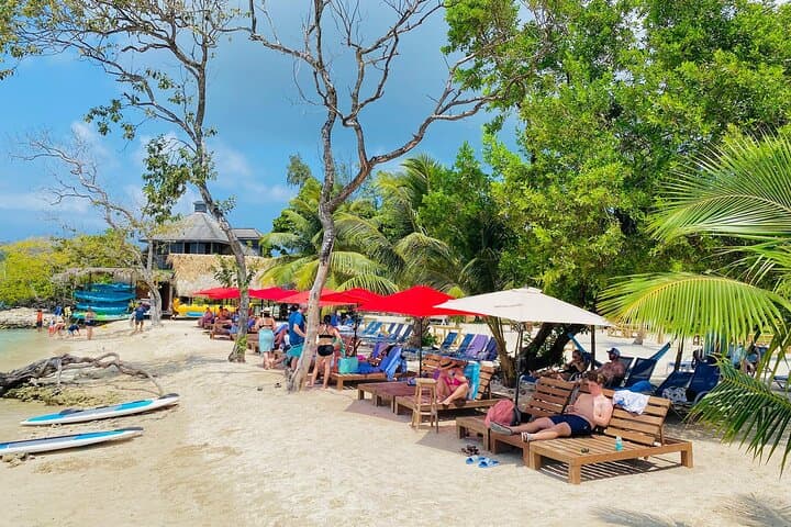 Roatan Wildlife and Private Cay Day: Sloths, Monkeys & White‑Sand Beaches photo 4