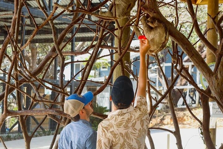 Roatan Wildlife and Private Cay Day: Sloths, Monkeys & White‑Sand Beaches photo 5