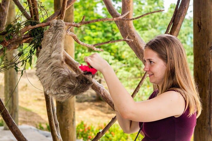 Roatan Half-Day Zipline, Suspension Bridges & Beach Wildlife Tour photo 2
