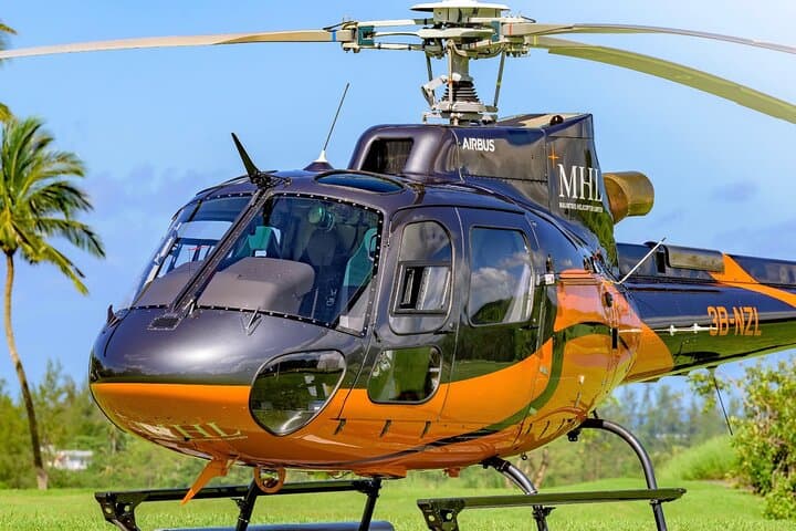 Fly Over Mauritius: Helicopter Sightseeing to the Underwater Waterfall and Le Morne photo 5