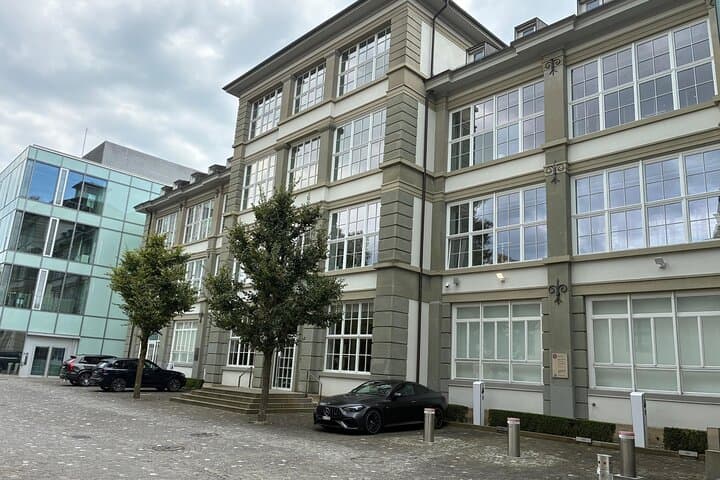 Rhine Falls & Schaffhausen Museums: Day Tour from Zurich photo 6