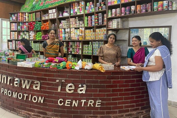 Galle Fort, Madu River & Turtle Hatchery: South Coast Day Tour from Colombo photo 2
